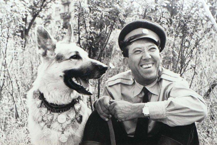 Pour moi Mukhtar - les meilleurs films sur les chiens