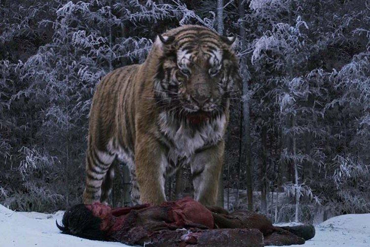 Tigre - Meilleurs films coréens