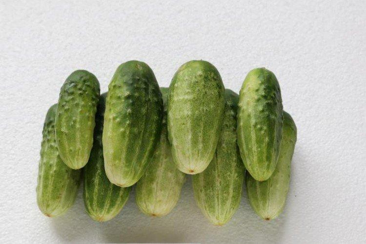 Erofey - Les meilleures variétés de concombres en pleine terre dans la région de Moscou