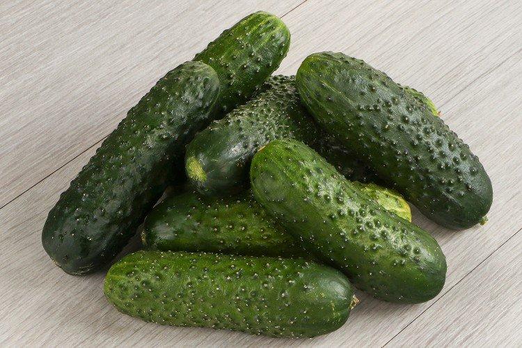 Courage - Variétés populaires de concombres pour serres