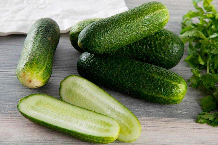 Trilogi - Les meilleures variétés de concombres pour l'Oural et la Sibérie