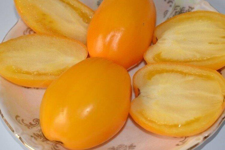 Jaune de Buyan - Variétés de tomates basses