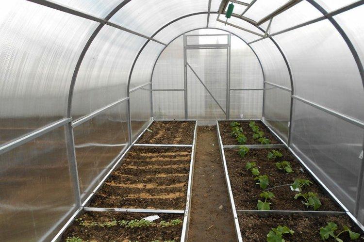 L'utilisation du sulfate de cuivre dans les serres