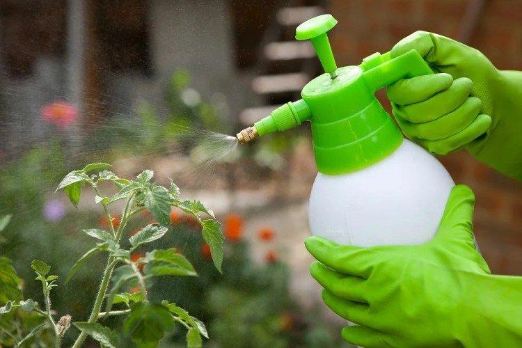 Mesures de sécurité - Utilisation du sulfate de cuivre en horticulture