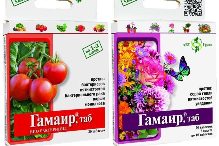 Gamair - Traitement des groseilles contre l'oïdium