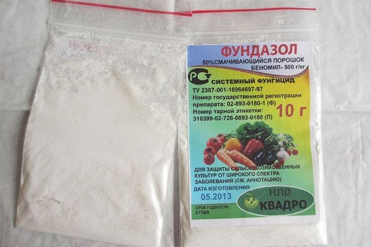 Fundazol - Traitement des groseilles contre l'oïdium