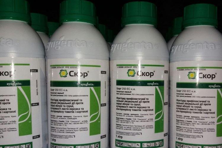 Skor - Traitement des groseilles contre l'oïdium