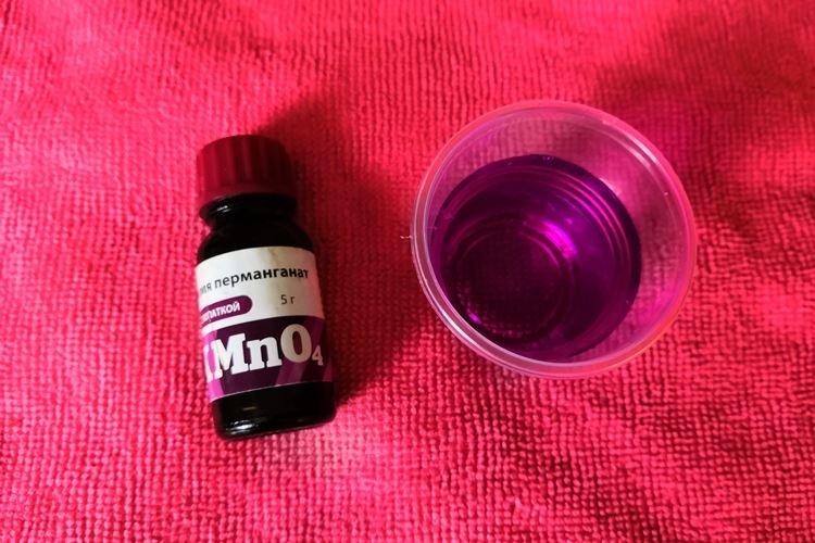 Permanganate de potassium - Remèdes populaires contre l'oïdium sur les groseilles à maquereau