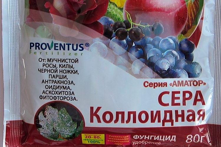 Soufre colloïdal - Traitement contre l'oïdium