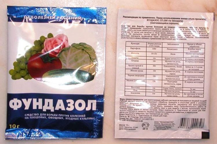 Fundazol - Traitement des roses contre l'oïdium