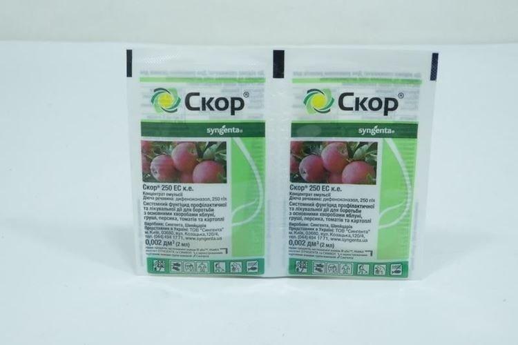 Skor - Traitement des groseilles à partir de l'oïdium