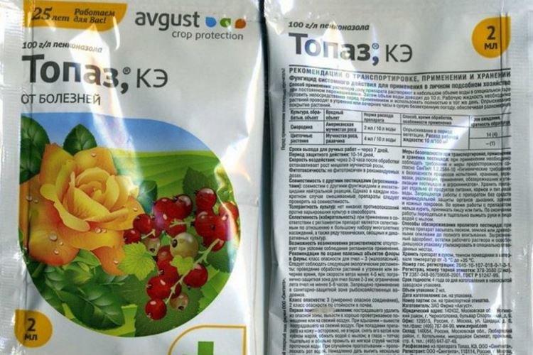 Topaze - Traitement des groseilles à partir de l'oïdium