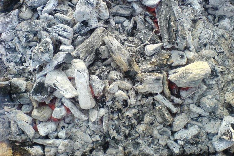 Ash - Remèdes populaires contre l'oïdium sur les groseilles