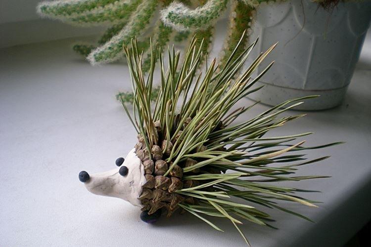 Artisanat du Nouvel An à partir de cônes pour enfants - photos et idées