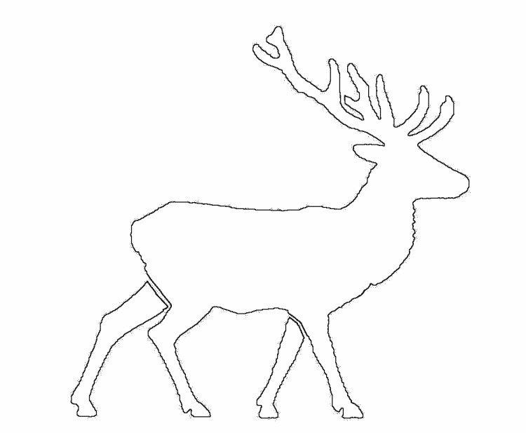 Animaux et Oiseaux - Pochoirs Nouvel An 2021