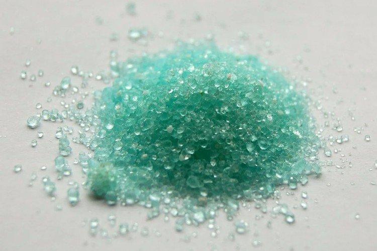 Traitement des groseilles de l'anthracnose