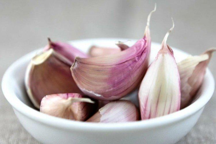 Traitement des groseilles avec infusion d'ail de chenilles