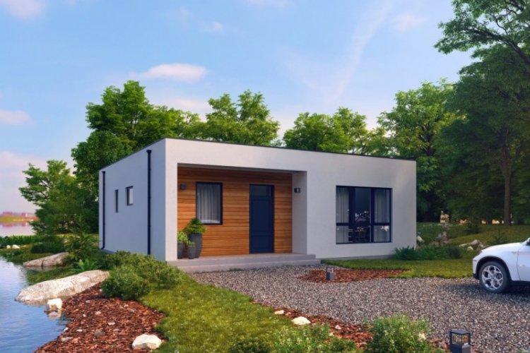 Maison à un étage avec toit plat - projets et photos