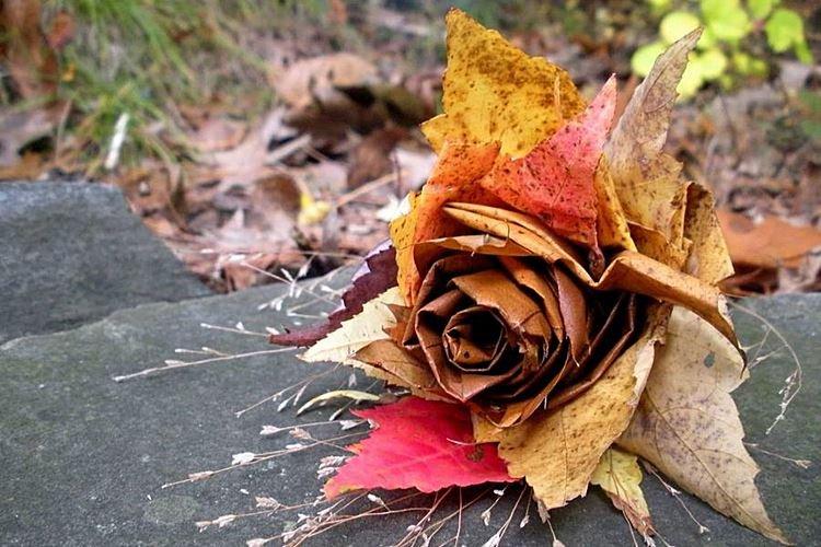 Artisanat de feuilles d'automne pour enfants - photos et idées