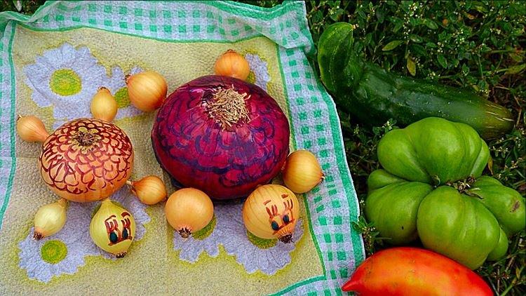 Tortues à l'oignon - Artisanat à base de légumes pour la maternelle