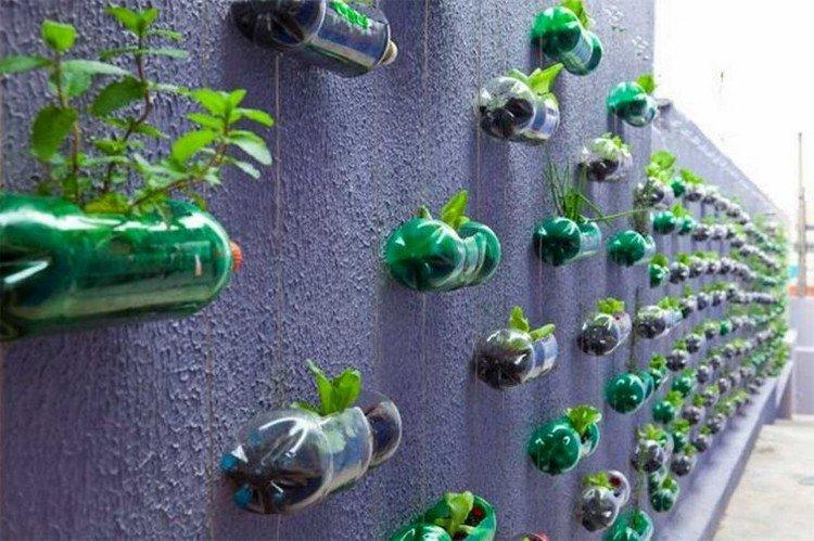 Mur végétal - Bricolage à partir de bouteilles en plastique