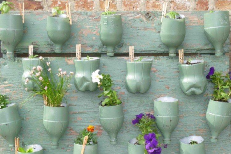 Mur végétal - Bricolage à partir de bouteilles en plastique