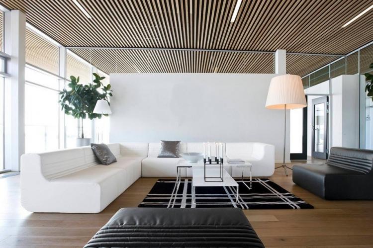 Plafond suspendu dans le salon - photo