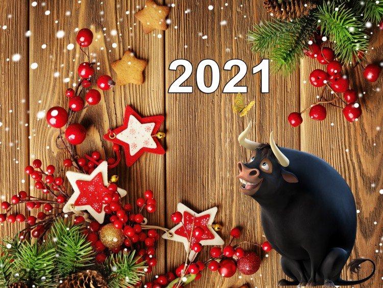 Bonne année 2021 - cartes et photos