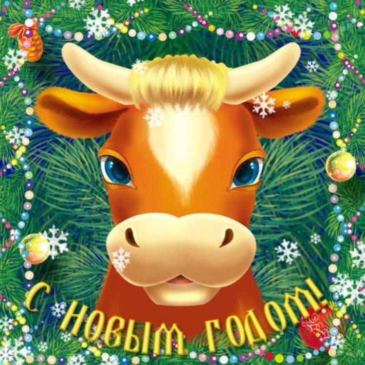 Bonne année 2021 - cartes et photos