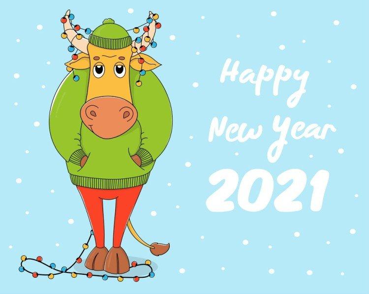 Bonne année 2021 - cartes et photos