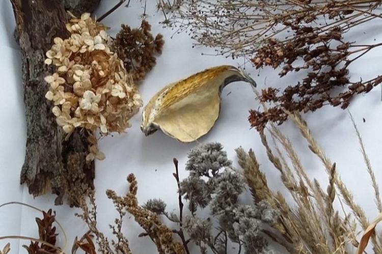 Panneau de fleurs séchées - Couture pour la maison