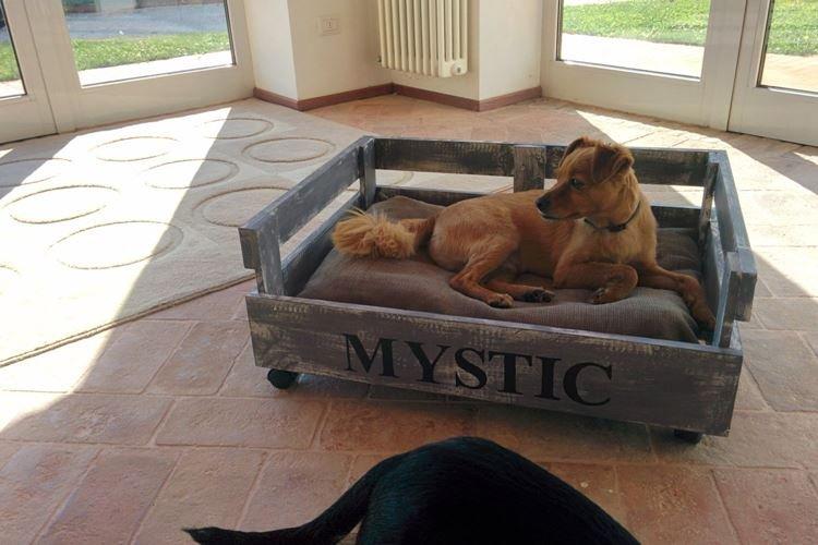 Lit pour chien - Mobilier de jardin en palettes pour donner une photo