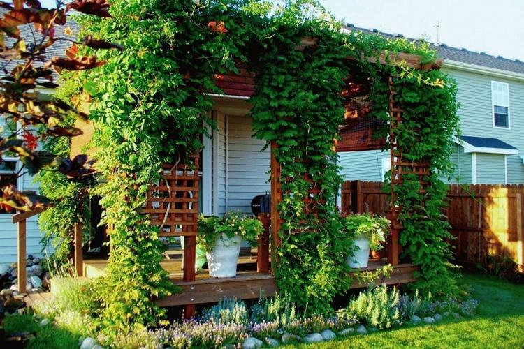 Gazebos de jardin vivants