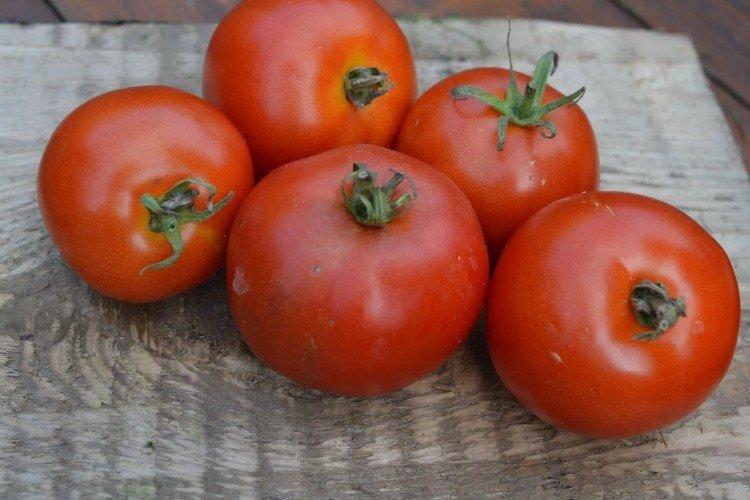Fatalist - Variétés de tomates d'extérieur à haut rendement
