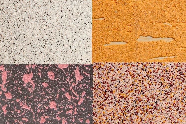 Composition - scolyte du plâtre