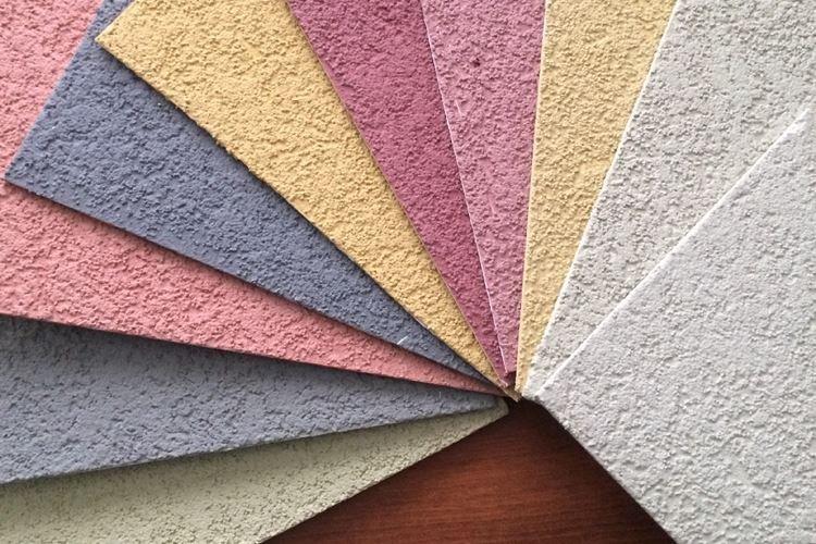 Composition - scolyte du plâtre