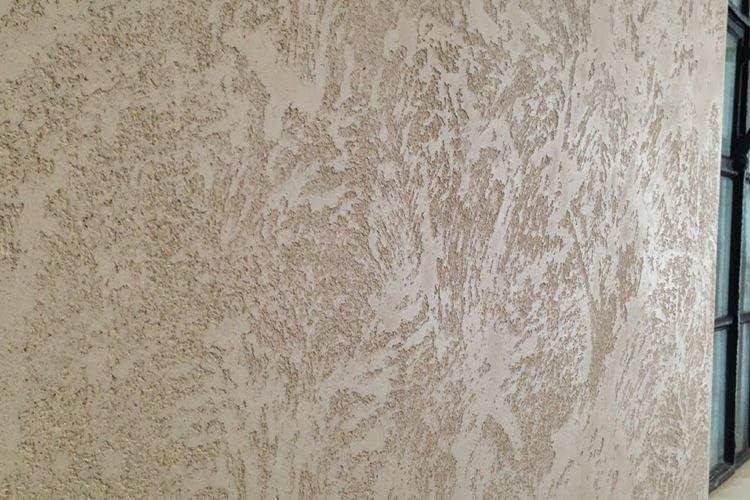 Coléoptère du plâtre à l'intérieur - photos et idées