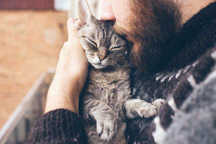 Amour et attention - Combien de temps vivent les chats