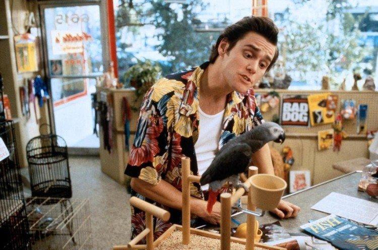 Ace Ventura: Pet Tracking - Comédie Voisin Larmes