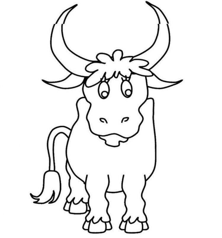 Pochoirs du taureau sur les fenêtres pour le nouvel an 2021 - photo