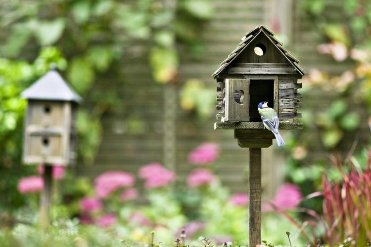 Décorations de jardin bricolage - photo