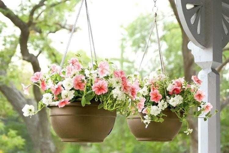 Suspension - Types de pots de fleurs d'extérieur
