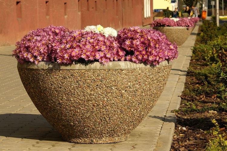 Pots de fleurs d'extérieur - photo