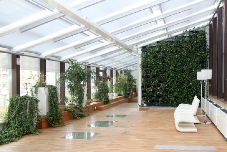 Plantes d'intérieur grimpantes - photo