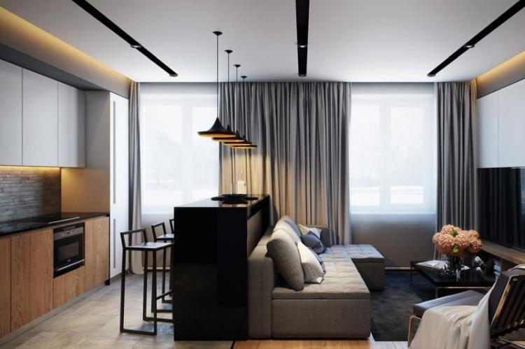 Zonage de la cuisine et du salon - photo de design d'intérieur